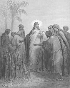 安息日に麦の穂を摘むイエスの弟子たち