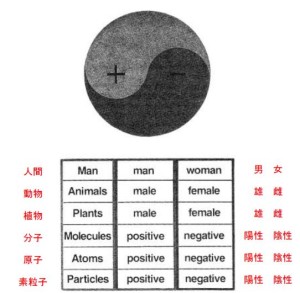 シンボルと表はどちらも、陽陰の二性性相を示している。（これらの図表は『概説原理講論レベル４』11ページから取ったものである）（３章76ページ）
